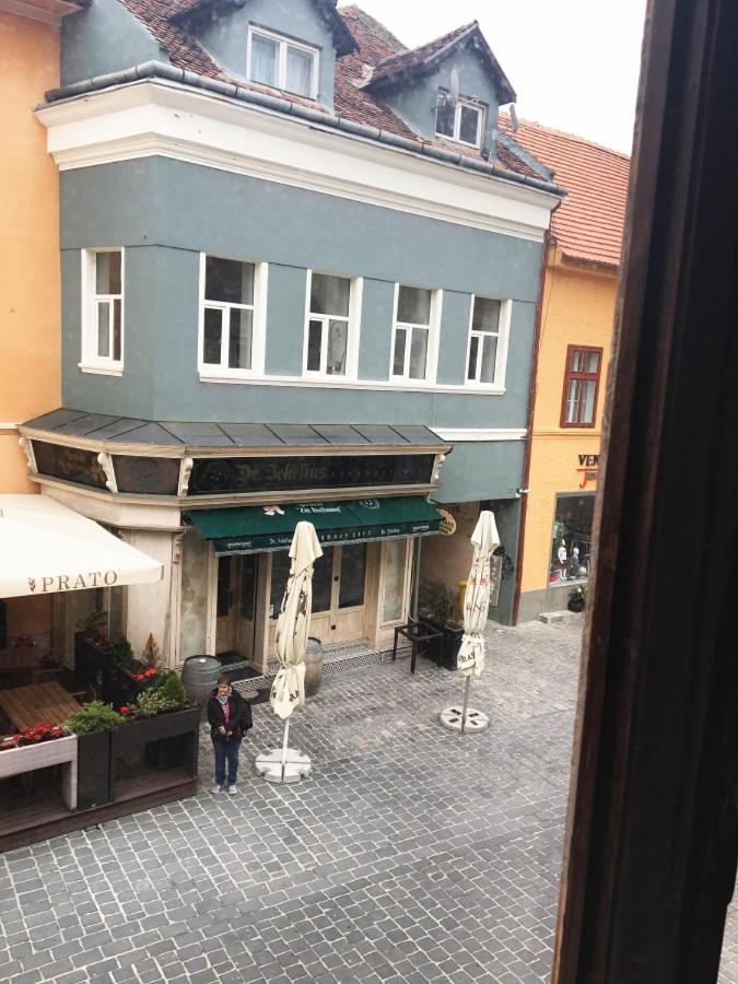Aristocrat Vintage Apartment Braşov Exteriör bild
